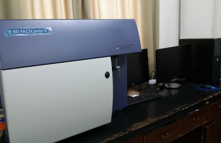 161647400408268307.png 161647400408268307.png