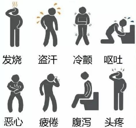 211682067584830282.jpeg 211682067584830282.jpeg