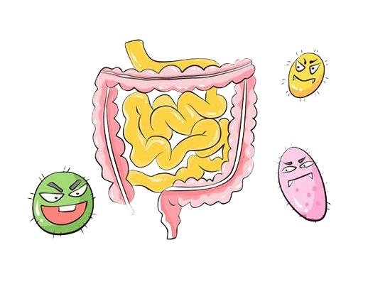 101688969859102744.jpeg 101688969859102744.jpeg