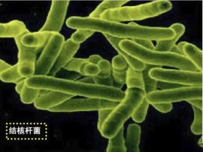 211710986609159731.jpeg 211710986609159731.jpeg