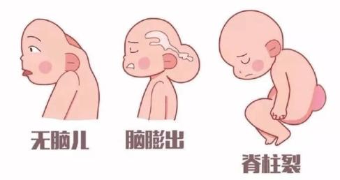 231724402498260423.jpeg 231724402498260423.jpeg